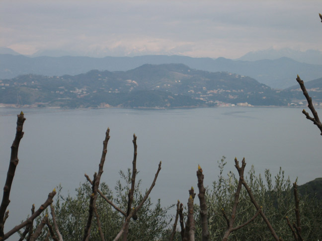 Panorama dalla Palmaria